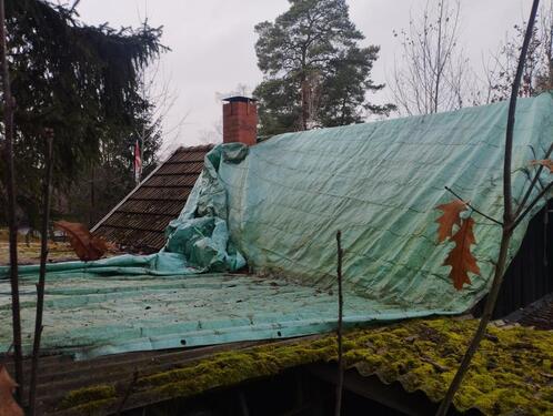 Foto - Bungalow in Peitz zum Kaufen