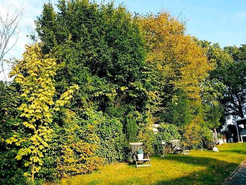 Foto - Einfamilienhaus in Niederkrüchten zum Kaufen