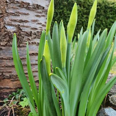 Foto - Grundst&uuml;ck in Kiel zur Miete