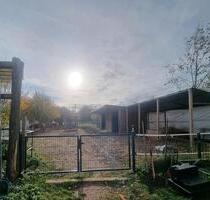 Saniertes Einfamilienhaus mit Pferdeparadies - Seelow