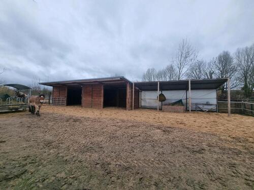 Foto - 3 Zimmer Einfamilienhaus in Seelow