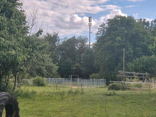Foto - Einfamilienhaus in Seelow zum Kaufen