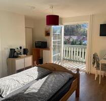 1 Zimmer Wohnung - 400,00&nbsp;EUR Kaltmiete, ca.&nbsp; 16,00&nbsp;m&sup2; in Buchenbach (PLZ: 79256)