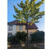 *Bezaubernde Doppelhaushälfte* - 400.000,00 EUR Kaufpreis, in Detmold (PLZ: 32756)