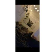 Reihenhaus zur Miete - 1.450,00&nbsp;EUR Kaltmiete, ca.&nbsp; 100,00&nbsp;m&sup2; in Oldenburg (PLZ: 26125) Etzhorn