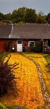 Foto - Reihenhaus in Duisburg zum Kaufen