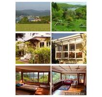 Traumhaftes Ferienhaus Wohnhaus am Edersee mit Seeblick - Edertal