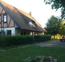 Ostsee Usedom kleine Ferienwohnung gern mit Hund - Karlshagen