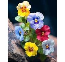 3 Raum, eigener Garten, in Bobritzsch-Hilbersdorf, Badewanne, D - Freital