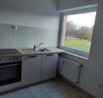 ruhige 1-Zim.Wohnung im OT Bad Münder - Bad Münder am Deister