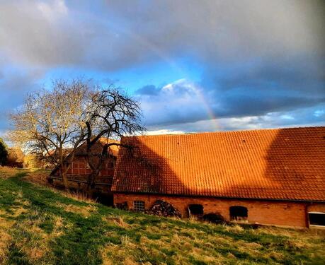 Foto - Gemeinschaftsprojekt bietet StellplätzeBauwagen