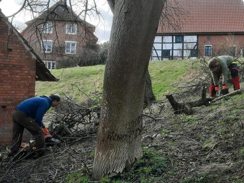 Foto - andere in Springe