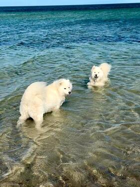 Foto - Ferienwohnung an der Ostsee bei Heiligenhafen