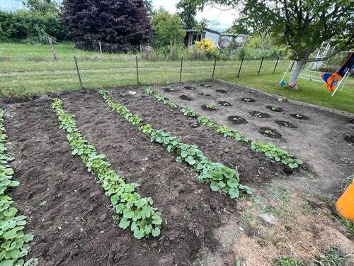 Foto - Grundstück zur Miete in Halberstadt