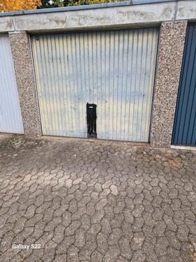 Foto - andere in Peine