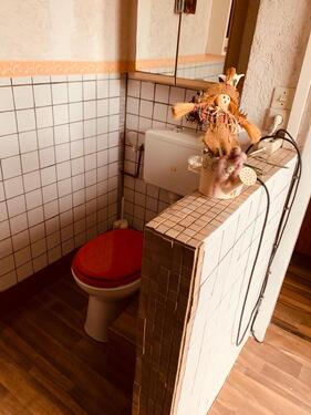 Foto - Grundst&uuml;ck in Torgau zur Miete