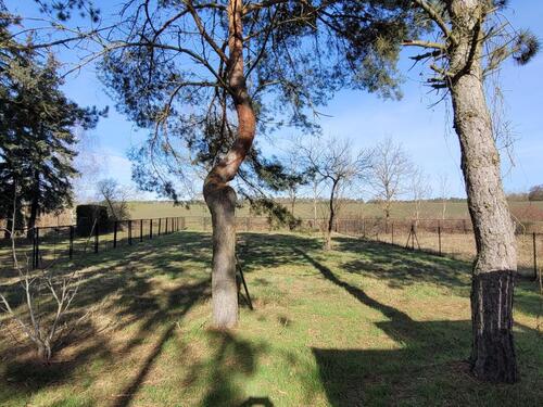 Foto - Einfamilienhaus in Schönwalde-Glien
