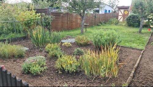 Foto - Garten in Magdeburg abzugeben - 2.500,00 EUR Kaltmiete, ca.  0,00 m²