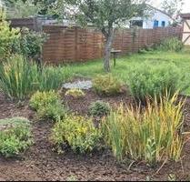 Garten in Magdeburg abzugeben - 2.500,00 EUR Kaltmiete, ca.  0,00 m² in Wanzleben-Börde (PLZ: 39164)