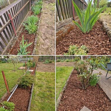 Foto - Grundstück in Wanzleben-Börde zur Miete