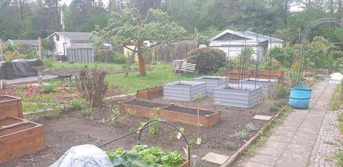 Foto - Garten in Radeberg zu vergeben - 200,00&nbsp;EUR Kaltmiete, ca.&nbsp; 0,00&nbsp;m&sup2;