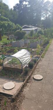 Foto - Grundst&uuml;ck in Dresden