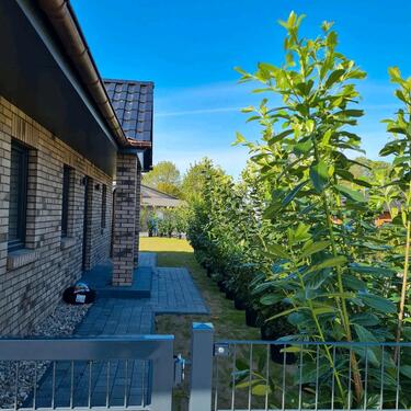 Foto - Bungalow in Sagard - 450.000,00&nbsp;EUR Kaufpreis, ca.&nbsp; 105,00&nbsp;m&sup2;