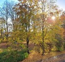! Erstbezug nach Sanierung - es bleiben keine Wünsche offen ! - Magdeburg Diesdorf