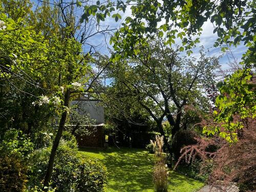 Foto - 6 Zimmer Einfamilienhaus in Mühlheim am Main