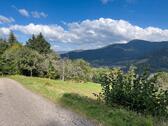 Foto - Freizeitgrundstück in Forbach Schwarzwald zu verpachten