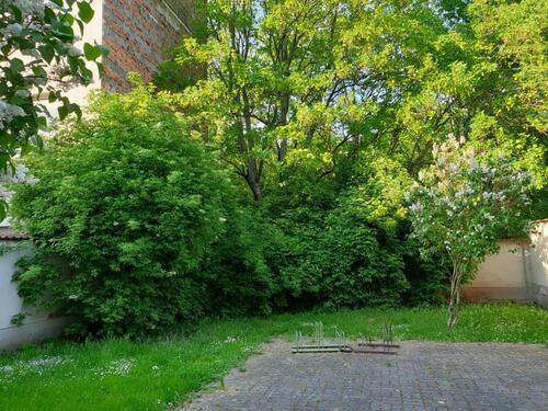 Foto - 2 Zimmer Etagenwohnung in Köthen (Anhalt)