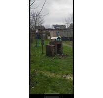 Frisch renovierte 5-Zimmer-Wohnung in Horn zu vermieten - Horn-Bad Meinberg