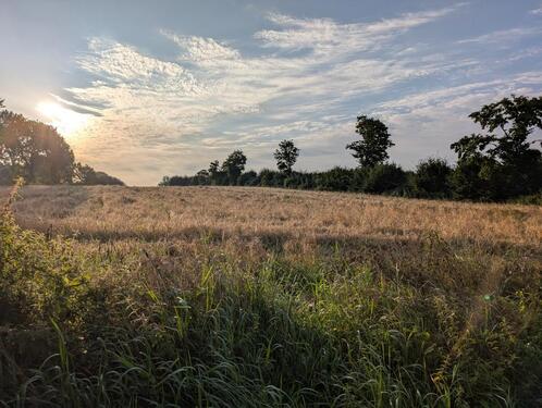 Foto - Gemüsegarten auf Acker mieten - 230,00&nbsp;EUR Kaltmiete, ca.&nbsp; 0,00&nbsp;m&sup2;