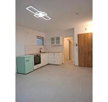 1-Zimmer-Apartment zu vermieten - Ladenburg