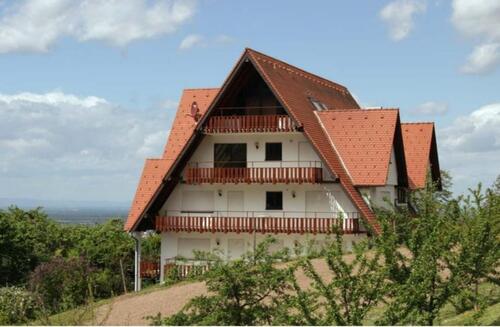 Foto - 1 Zimmer Etagenwohnung zur Miete in Sasbachwalden