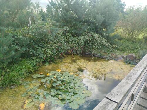 Foto - 8 Zimmer Einfamilienhaus zum Kaufen in Möckern