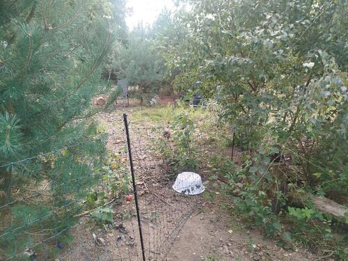 Foto - 8 Zimmer Einfamilienhaus in Möckern