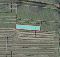 Weingärten in Hambach!!! - 1.260,00&nbsp;EUR Kaltmiete, ca.&nbsp; 0,00&nbsp;m&sup2; in Neustadt an der Weinstraße (PLZ: 67434) Diedesfeld