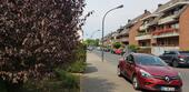 Foto - 2 Wohnungen priv. an priv. zu verkaufen D - Dorf Süd Hassels
