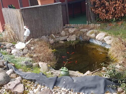 Foto - Grundst&uuml;ck in Schkeuditz zur Miete