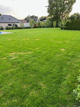 Foto - Grundst&uuml;ck zur Miete in Lengerich