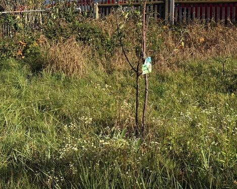 Foto - Grundst&uuml;ck in Leipzig