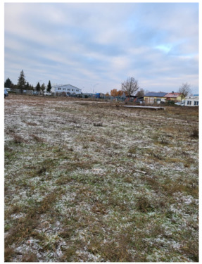 Foto - andere zur Miete in Seehausen (Altmark)