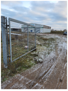 Foto - andere in Seehausen (Altmark)