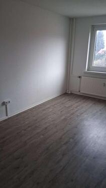 Foto - 1 Zimmer Etagenwohnung zur Miete in Dresden