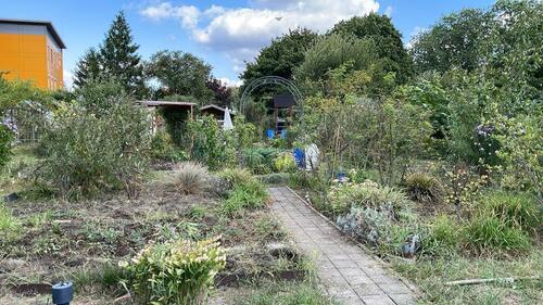 Foto - Grundst&uuml;ck in Dresden zur Miete