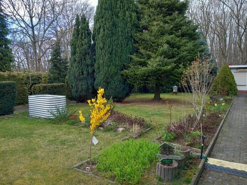 Foto - Grundst&uuml;ck in Delitzsch