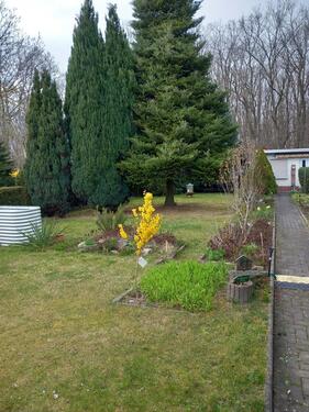 Foto - Grundst&uuml;ck in Delitzsch zur Miete