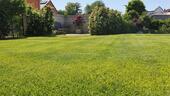 Foto - Einfamilienhaus zum Kaufen in Meißen