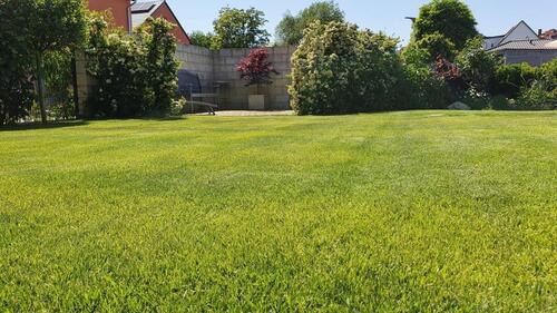 Foto - Einfamilienhaus zum Kaufen in Meißen